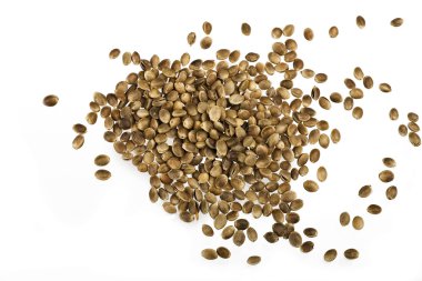 Hemp seed