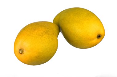 Sarı ataulfo mango