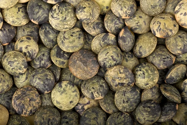 法国小扁豆 — 图库照片