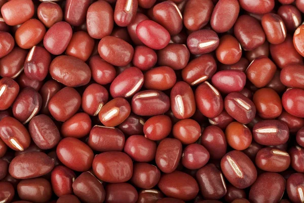 Azuki beans — Stock Photo, Image