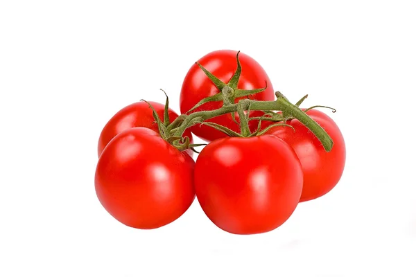 Vine tomato — Stock Photo, Image