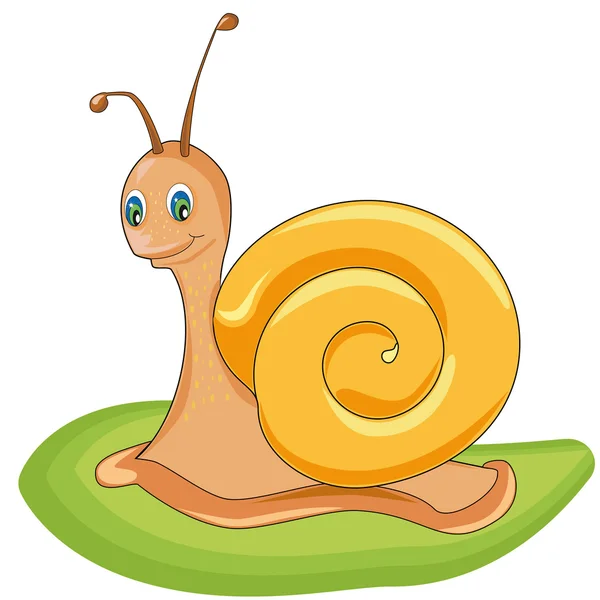 Funny snail on the lawn — Stock Vector