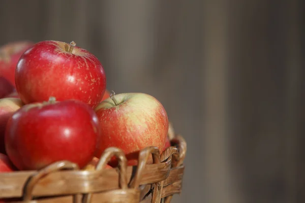 Красные яблоки крупный план — стоковое фото