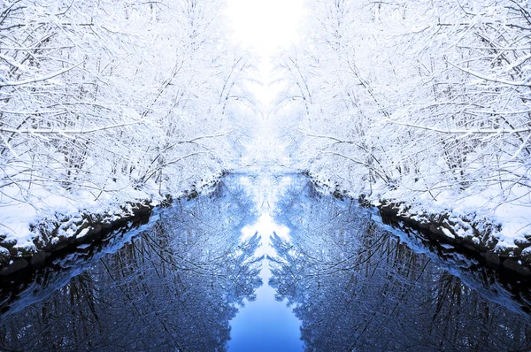Vintern spegel Royaltyfria Stockbilder