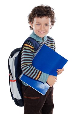 adorable niño estudiando