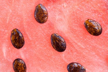 Watermelon with many seeds clipart