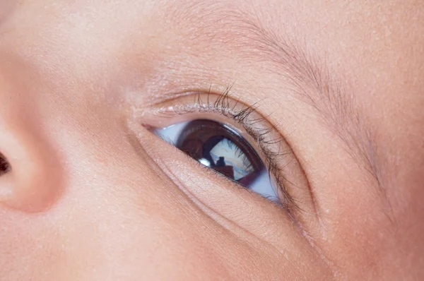 Bebek kahverengi göz — Stok fotoğraf