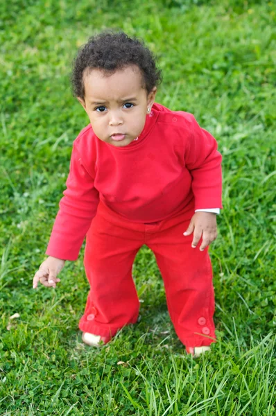 Bebê brincando na grama — Fotografia de Stock