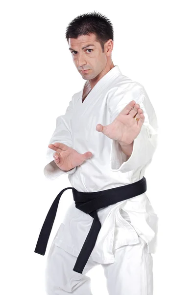 Martial arts stance — Stock Photo, Image