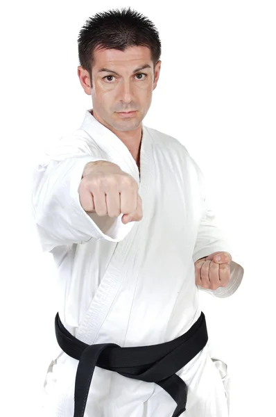 Martial arts punch — Stockfoto