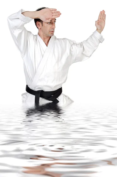 Houding van het martial arts — Stockfoto