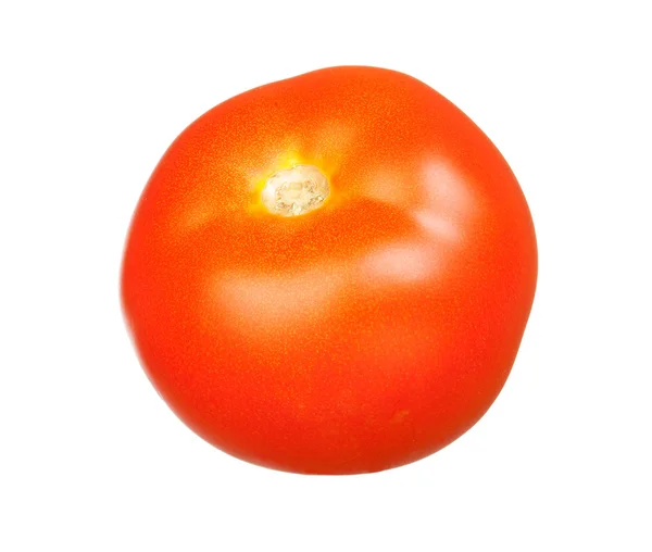 Lahodné červené rajče — Stock fotografie