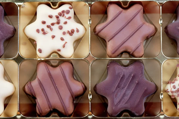 Nefis çikolatalı kurabiyeler. — Stok fotoğraf
