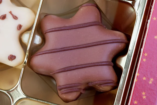 맛좋은 초콜릿 쿠키 — 스톡 사진