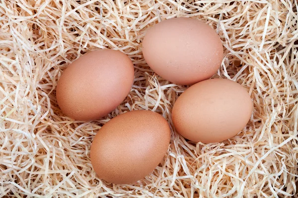 Чотири коричневих яйцях — стокове фото