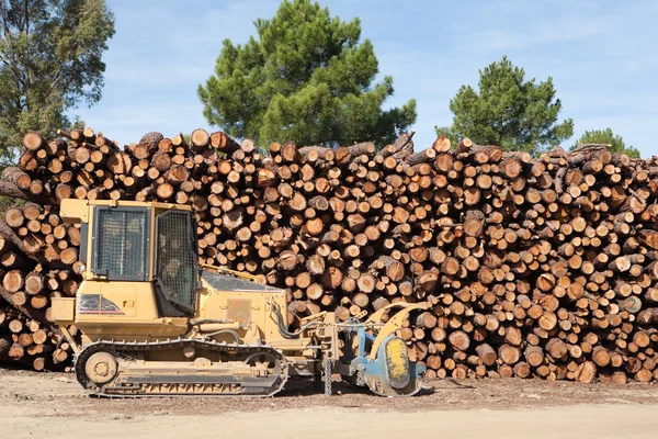 Kiefernbrennholz gestapelt und Planierraupe — Stockfoto