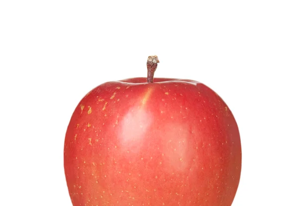 Red delicious apple — Stock Photo, Image