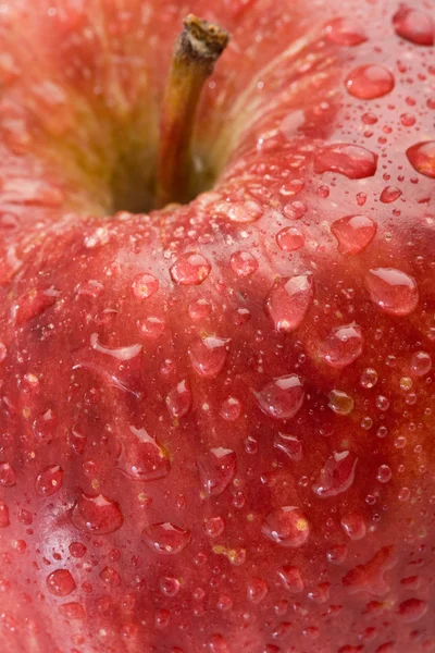 Macro rosso mela — Foto Stock