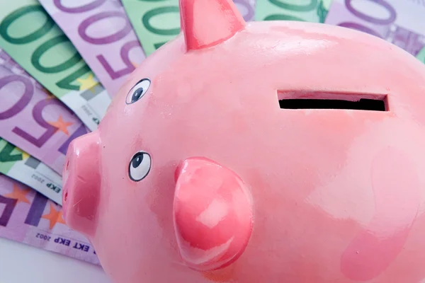 Pink piggy-bank over many notes — Stock Photo, Image