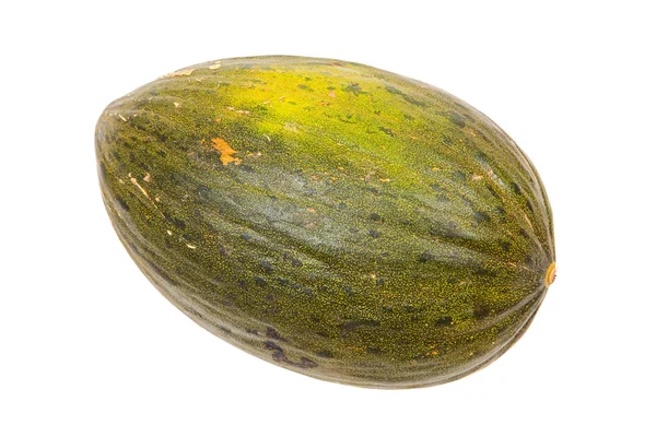 Photo of one melon — Stock Photo, Image