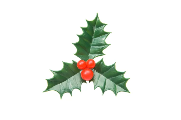 L'ornamento tipico dell'agrifoglio di Natale — Foto Stock