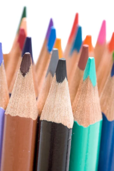 Багато олівців різних кольорів — стокове фото