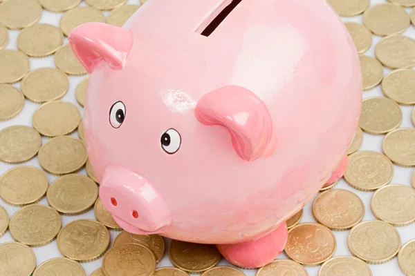 Pink piggy-bank — Stock Photo, Image