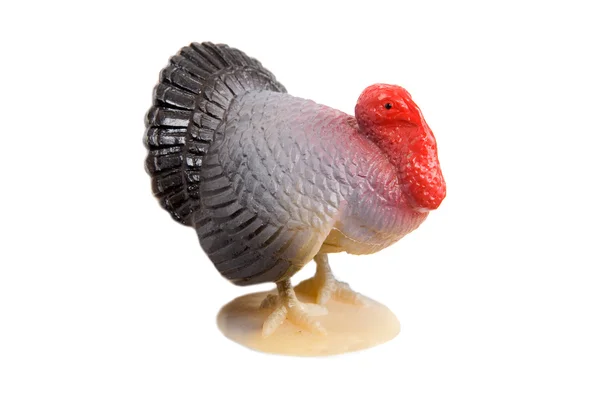Turkey of plastic — Stock Photo, Image
