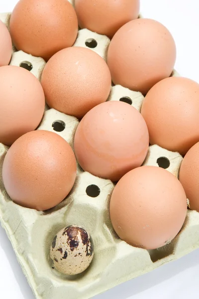 Różni jaj — Zdjęcie stockowe