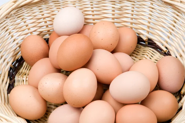 많은 암 탉 계란 바구니 — 스톡 사진