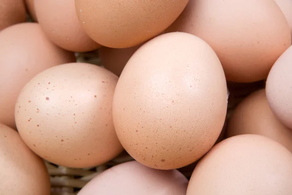 Foto de muchos huevos de gallina marrón —  Fotos de Stock