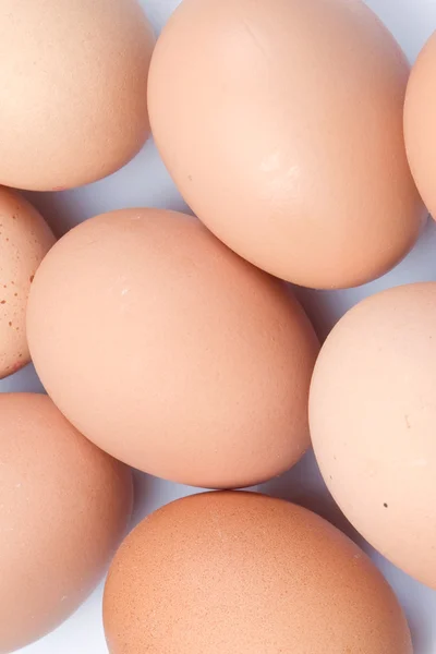 Fondo blanco huevo —  Fotos de Stock