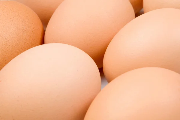 Foto de muitos ovos de galinha marrom — Fotografia de Stock
