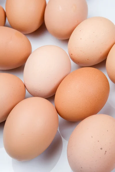 Foto de muitos ovos de galinha marrom — Fotografia de Stock
