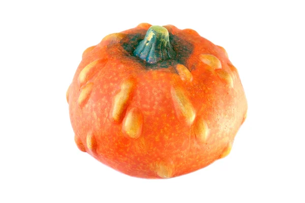 Abóbora laranja isolada — Fotografia de Stock