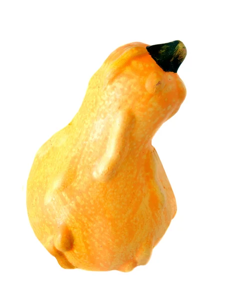 Yellow pumpkin isolated — Stock Photo, Image