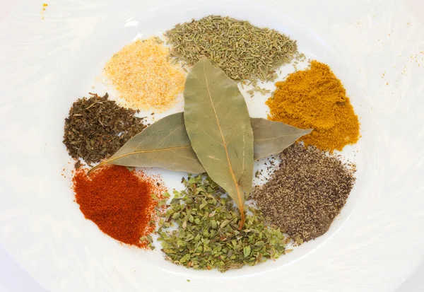 White dish with many spices — Stock Photo, Image