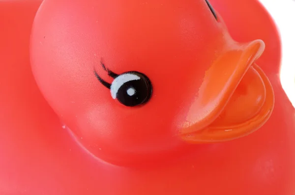 Красная пластиковая утка — стоковое фото