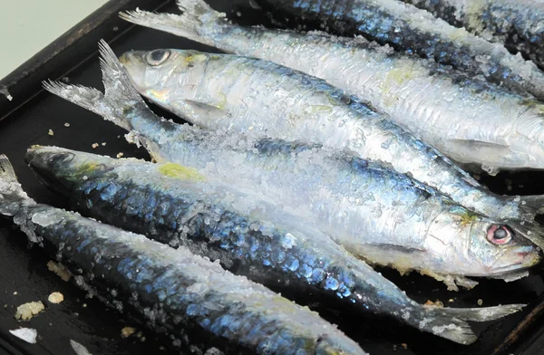 Vaření čerstvé sardinky — Stock fotografie