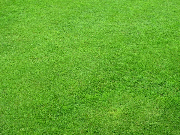 Zielone trawniki — Zdjęcie stockowe