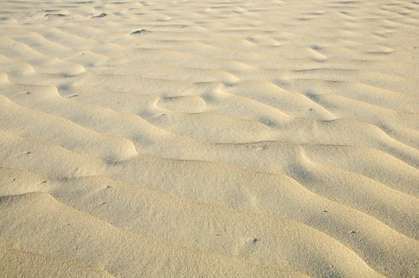 모래 — 스톡 사진