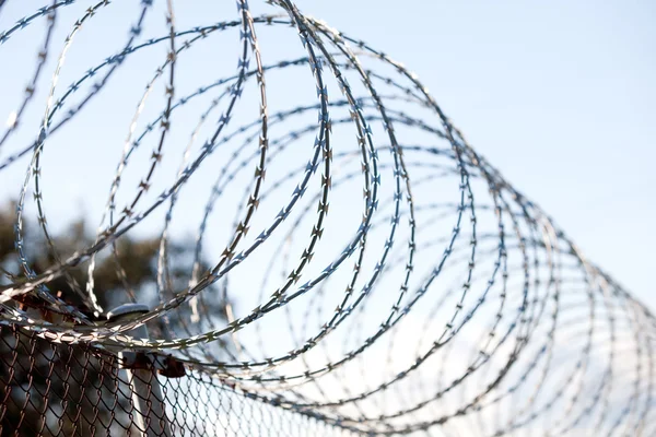 Coiled barbed wire fence — Stock Photo, Image