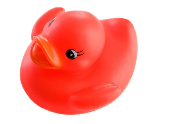 Pato de plástico vermelho — Fotografia de Stock
