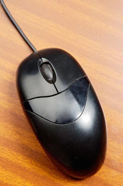 Мышь компьютера — стоковое фото
