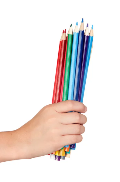 Mão segurar muitos lápis coloridos — Fotografia de Stock