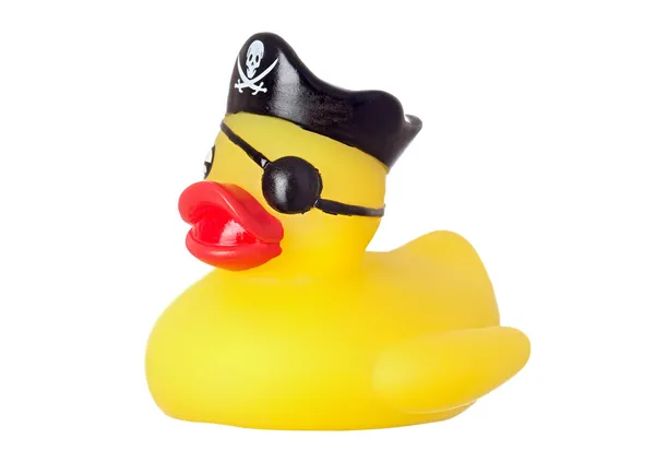 Pato pirata engraçado — Fotografia de Stock