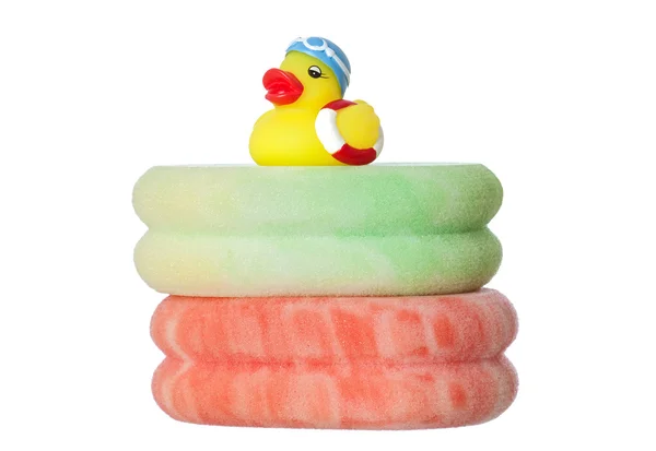 Swimming duck over sponges — Stock Photo, Image