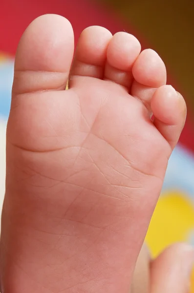 Baby foot — Stockfoto