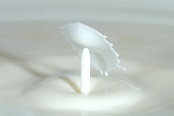 White water drop — Stock Photo, Image