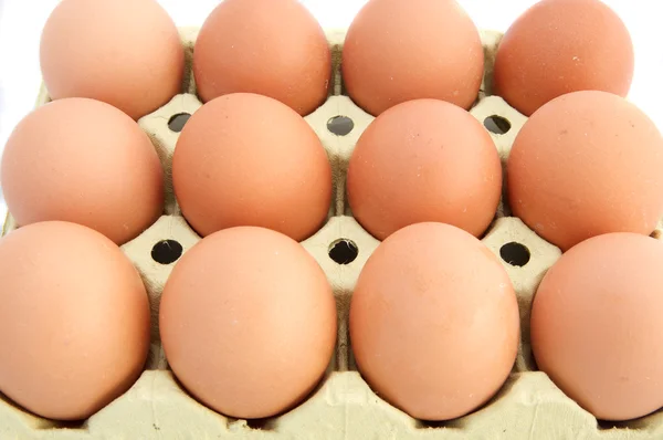 Яйця курячі — стокове фото